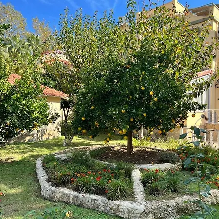 Villa Club Konak 1